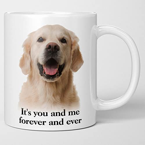 10 Best Golden Retriever Ever (2024 Update) Almost Home Rescue