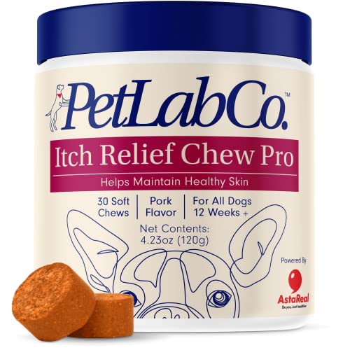 Best Dog Allergy Chews (2024 Update) Almost Home Rescue