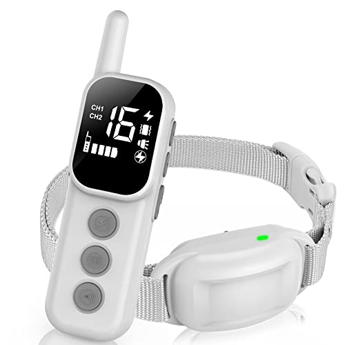 Best Dog Training Shock Collar (2024 Update) Almost Home Rescue