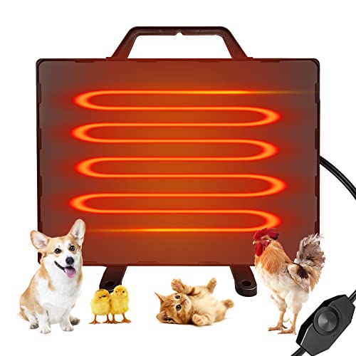 Best Dog House Heaters (2024 Update) Almost Home Rescue