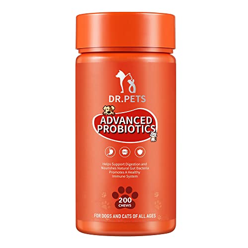 Best Probiotic For Dog Yeast Infection (2024 Update) Almost Home Rescue