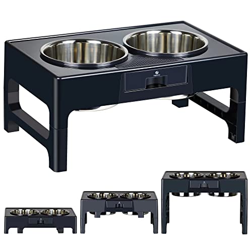 Best Dog Bowls For Small Dogs (2024 Update) Almost Home Rescue