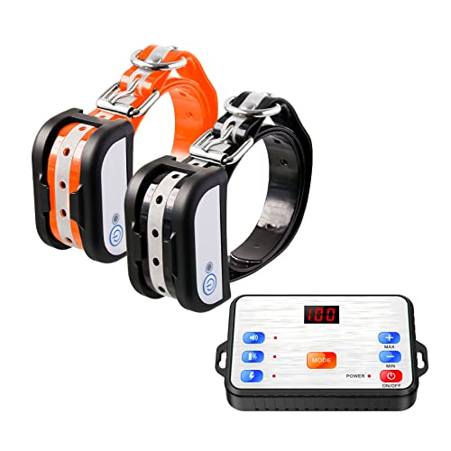 Best Wireless Dog Fence For 2 Dogs (2024 Update) Almost Home Rescue