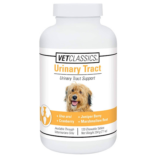 Rectal Prolapse Dog Home Treatment For Sale (2024 Update) Almost Home