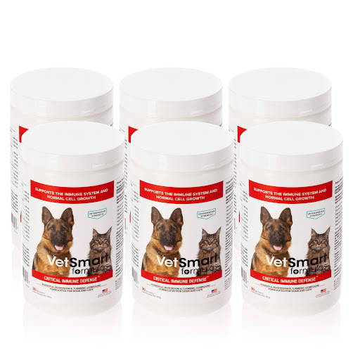 Dog Heart Murmur Treatment For Sale (2023 Update) Almost Home Rescue