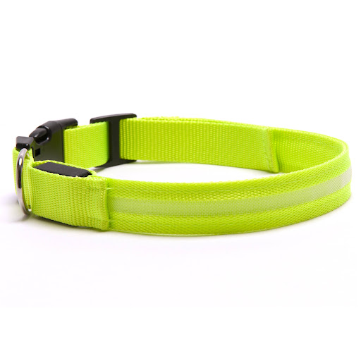 Dog Collar Strobe Light For Sale (Feb 2023 Update) Almost Home Rescue