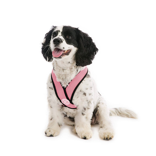 Dog Harness That Doesn'T Chafe Under Arms For Sale (2023 Update) Almost Home Rescue
