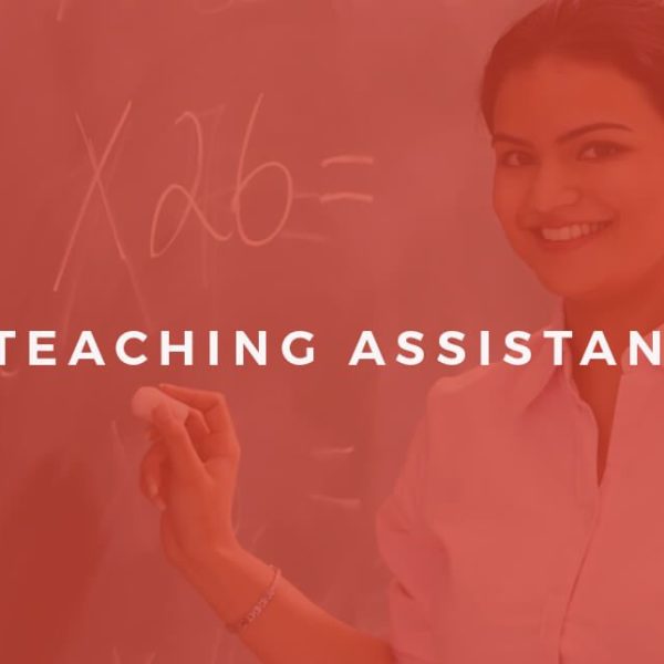 Level 2 Certificate Teaching Assistant Alpha Academy