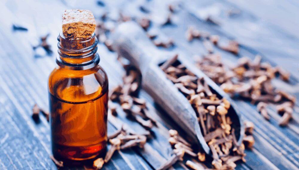 How Clove Essential Oil Lifts The Middle Notes Of Fragrances