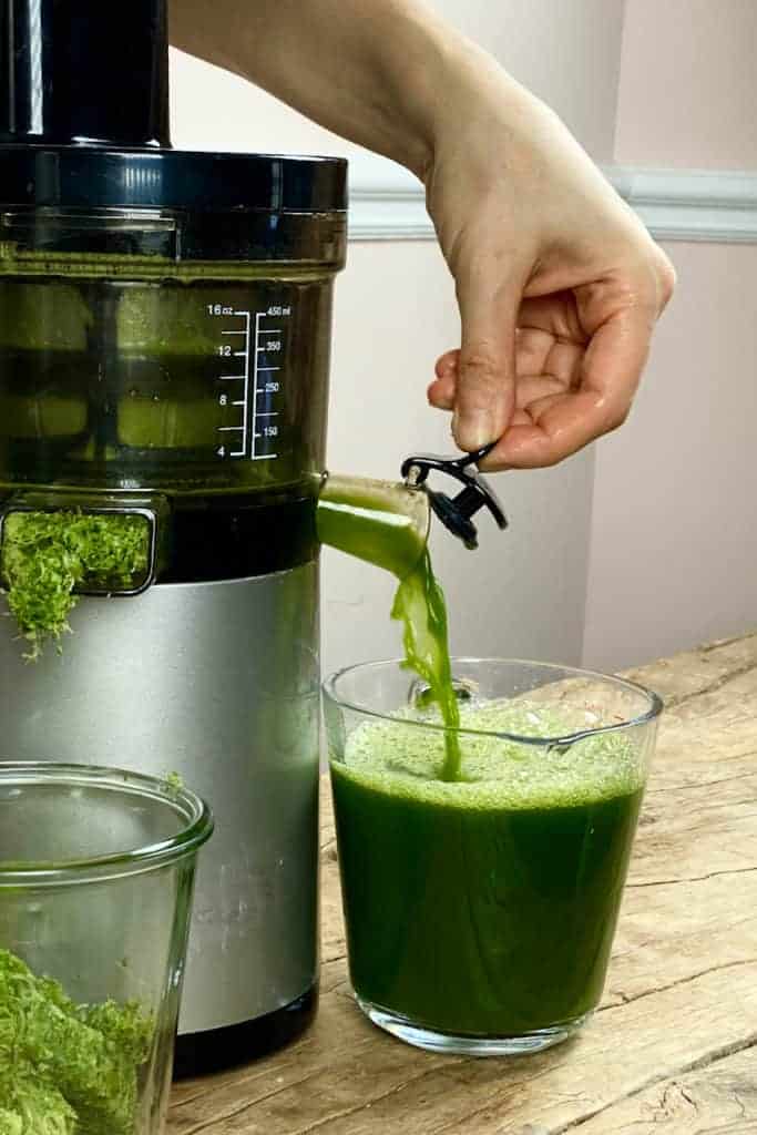 Green Detox Celery Juice Blend Alphafoodie