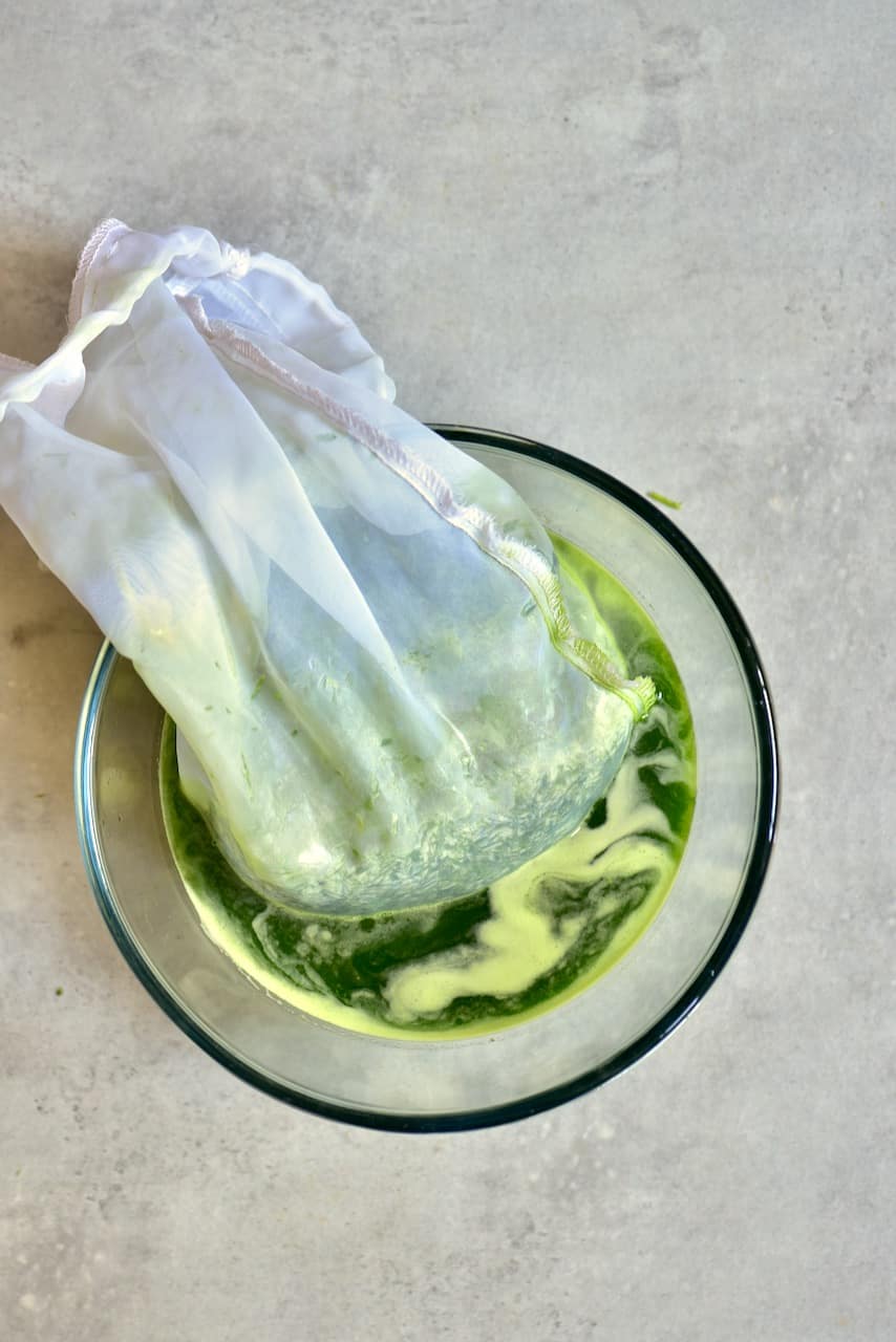 Wheatgrass Shot Recipe Vitamix Dandk Organizer