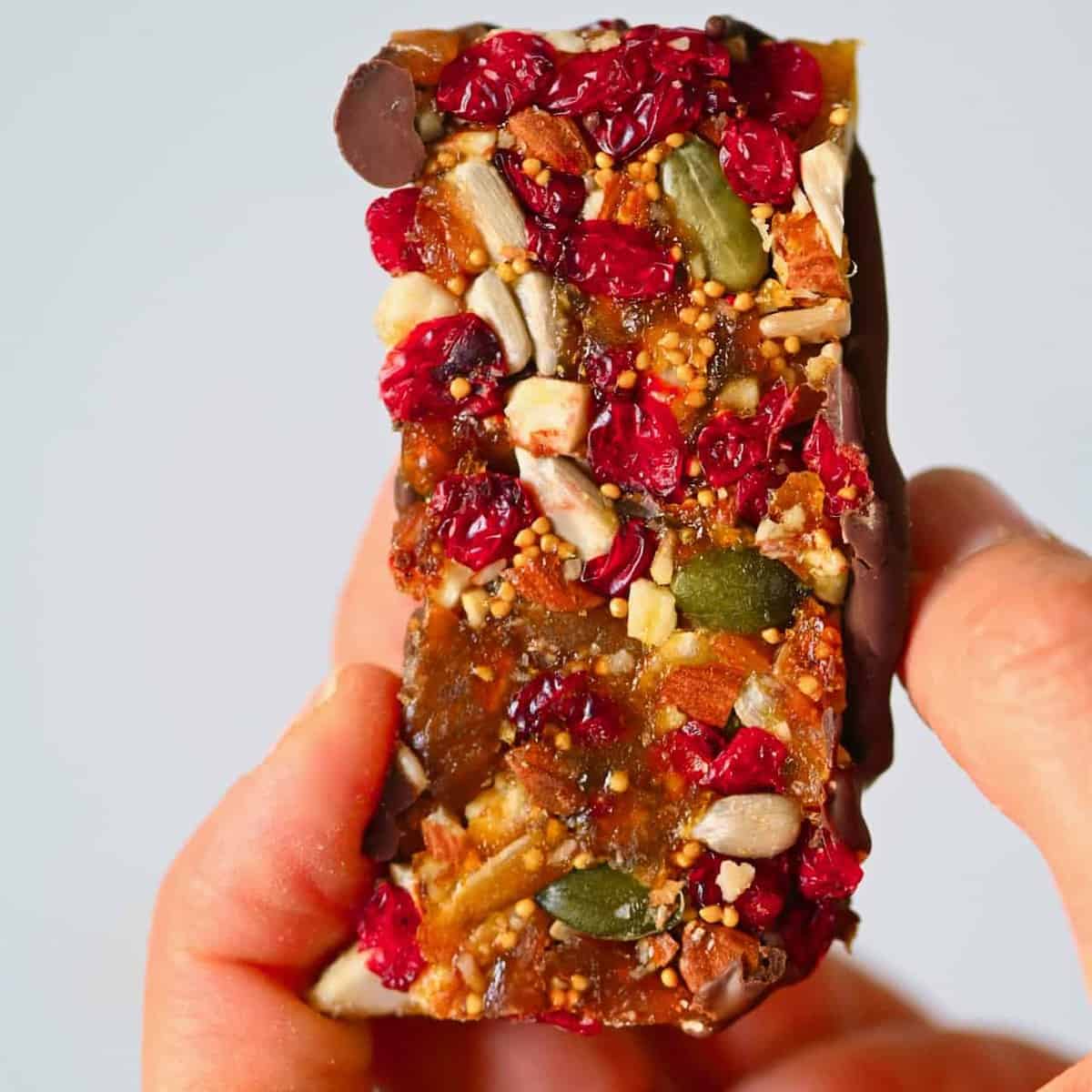 Chocolate Covered Healthy Fruit and Nut Bars Alphafoodie