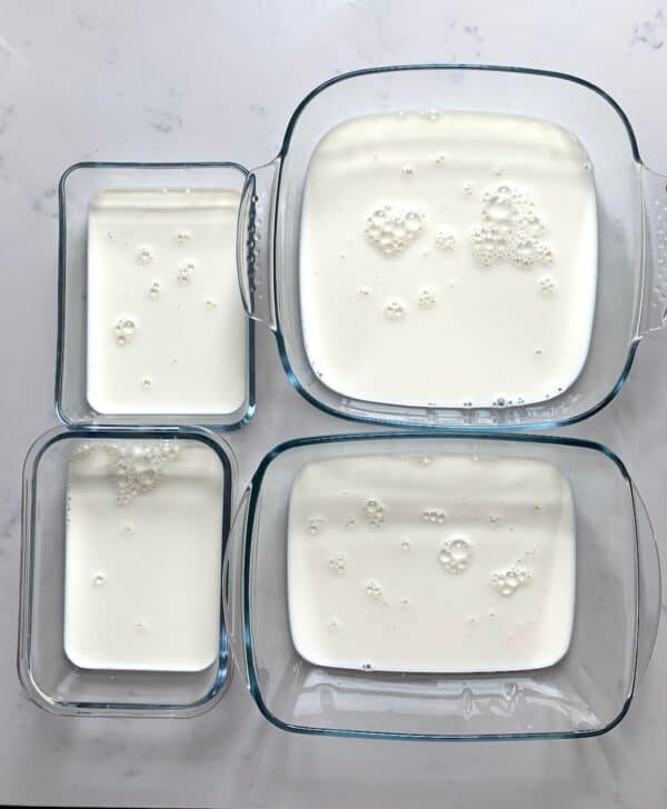 How To Make Powdered Milk At Home Alphafoodie