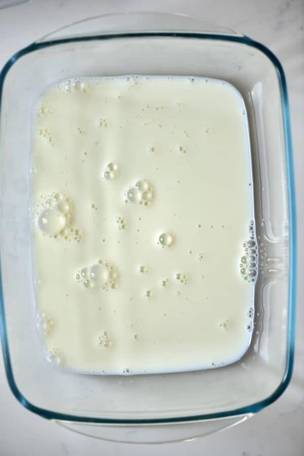 How To Make Powdered Milk At Home Alphafoodie