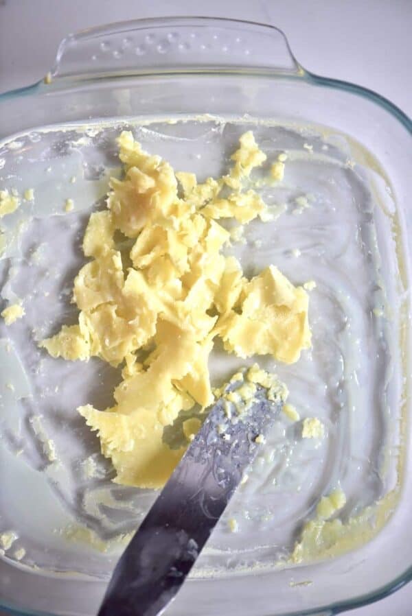 How To Make Powdered Milk At Home Alphafoodie