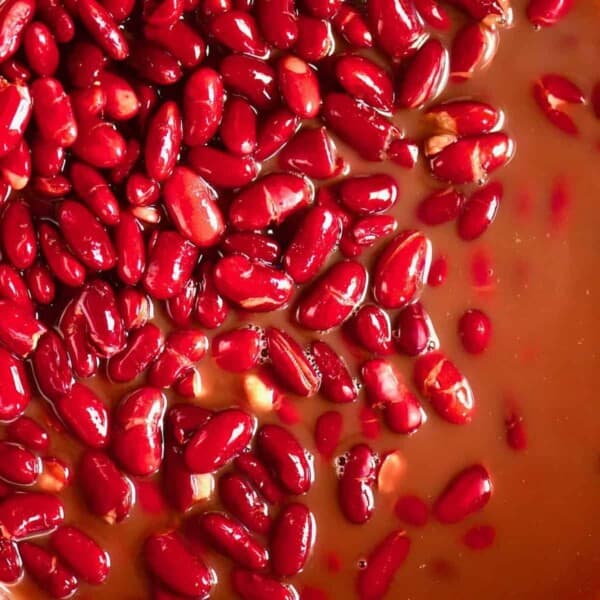 How to Prep, Cook and Freeze Dried Red Kidney Beans Alphafoodie