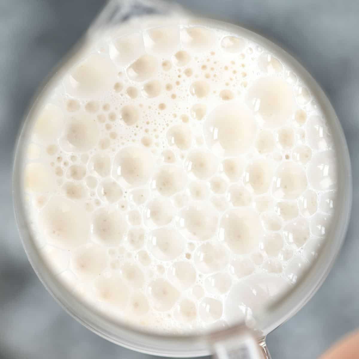 Simple Oat Milk Creamer (Oat Cream) Alphafoodie