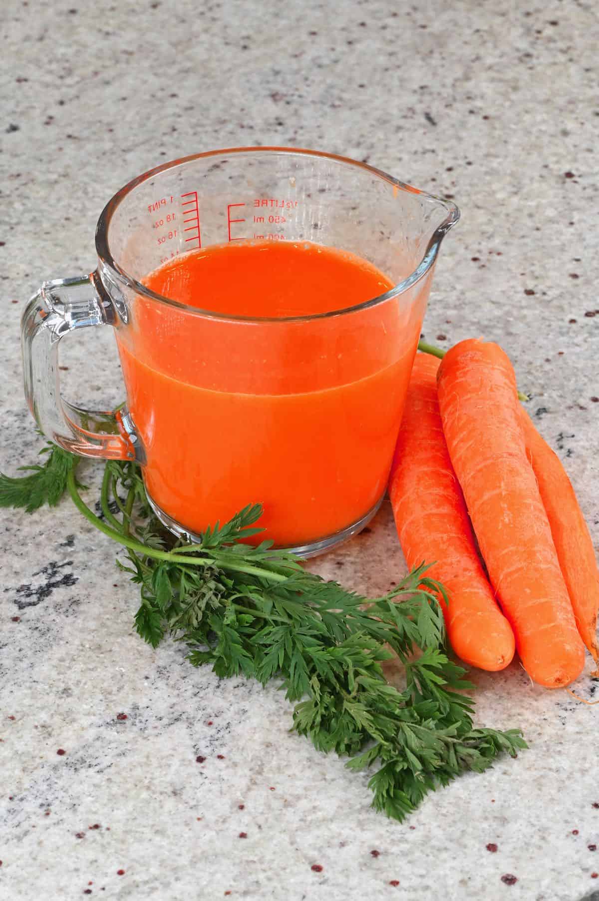 How to Juice Carrots (1Ingredient Carrot Juice Recipe) Alphafoodie
