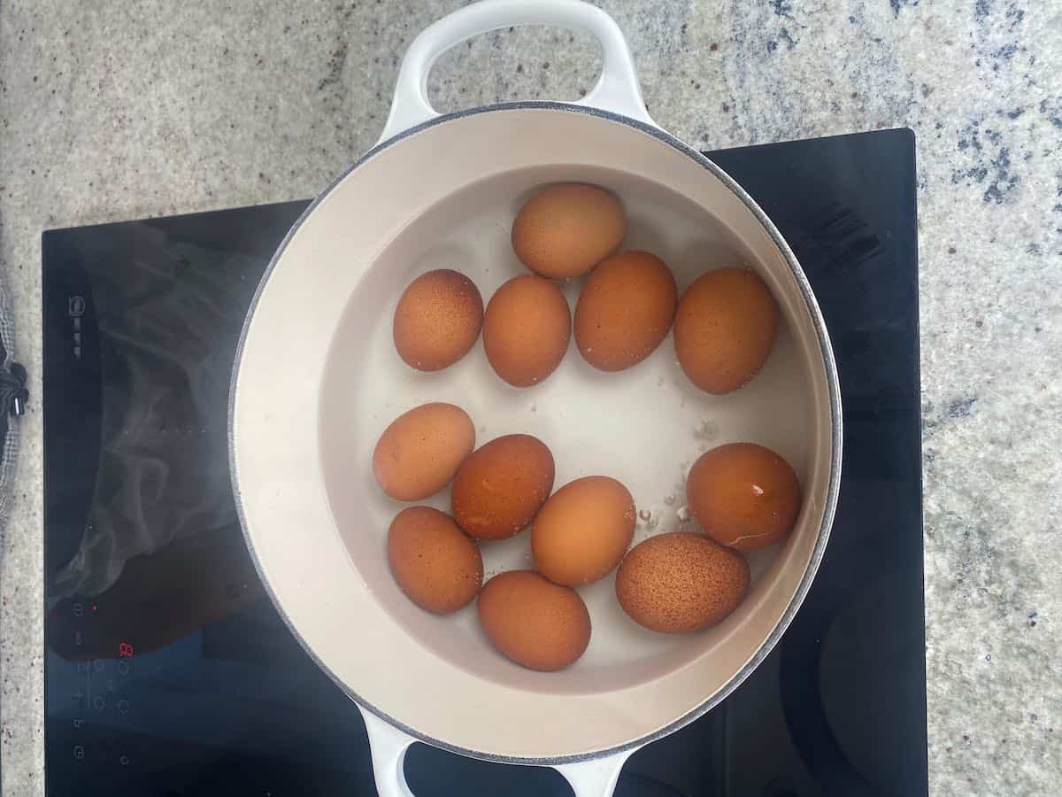 How To Boil Eggs In Kettle How To Boil Eggs In An Electric Kettle Hard Or Soft Boiled Eggs