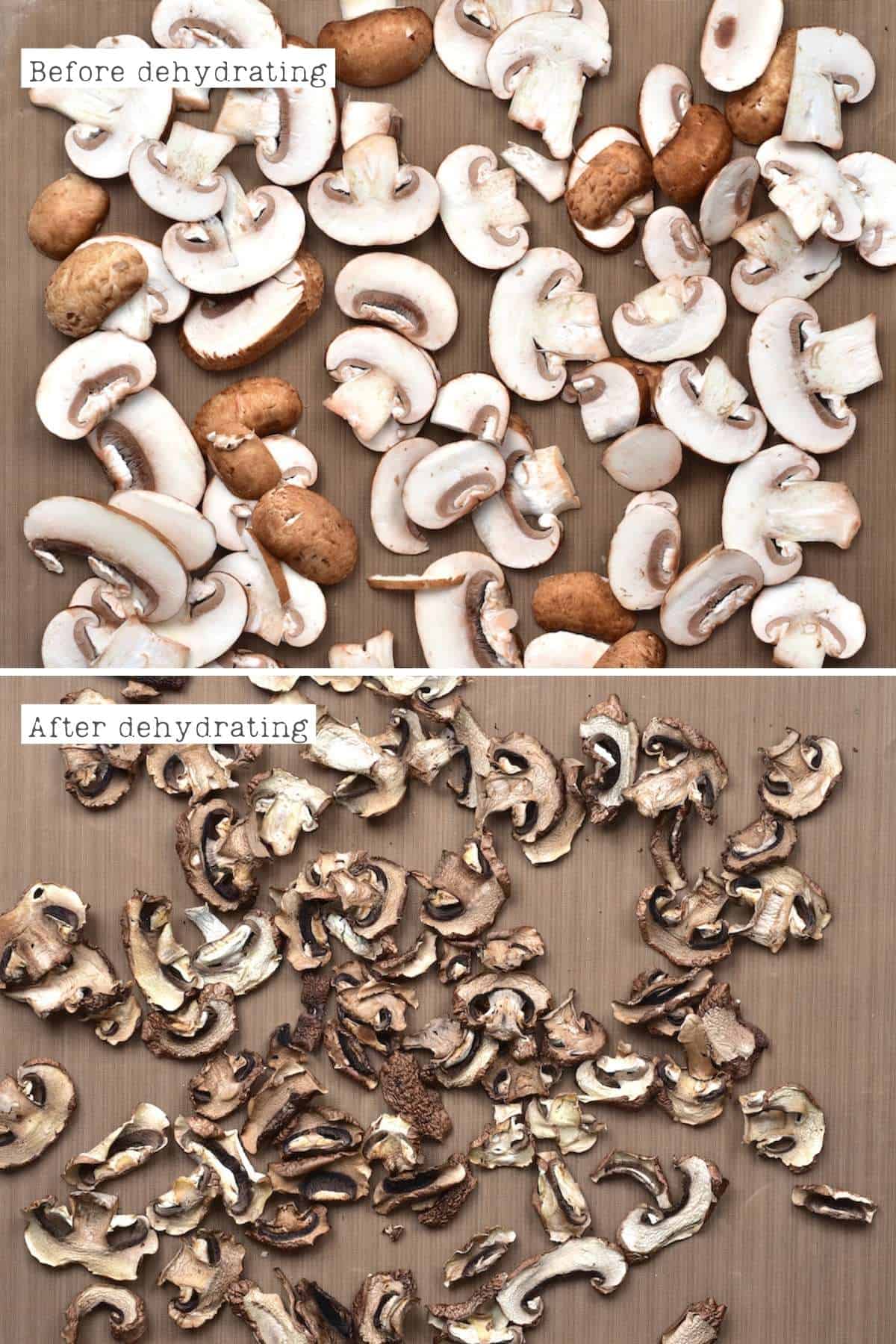 How To Dry Mushrooms (In Oven or Dehydrator) Alphafoodie