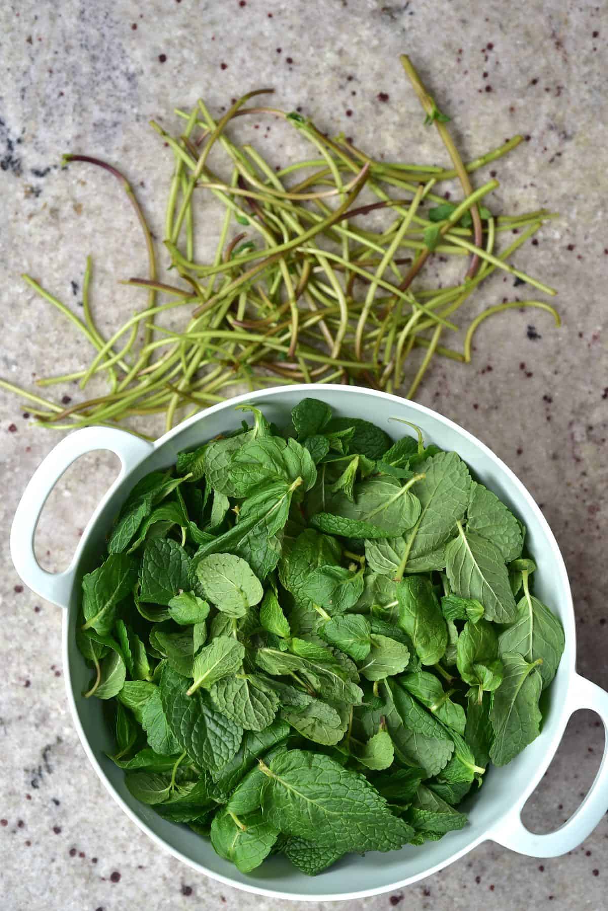 How To Dry Mint (3 Methods for Dried Mint) Alphafoodie