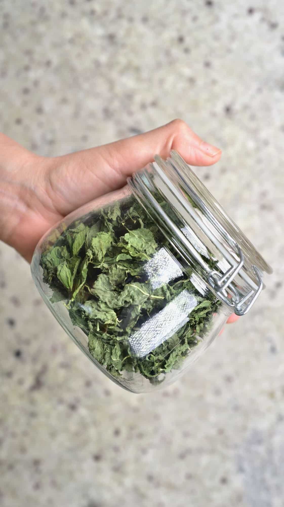 How To Dry Mint (3 Methods for Dried Mint) Alphafoodie