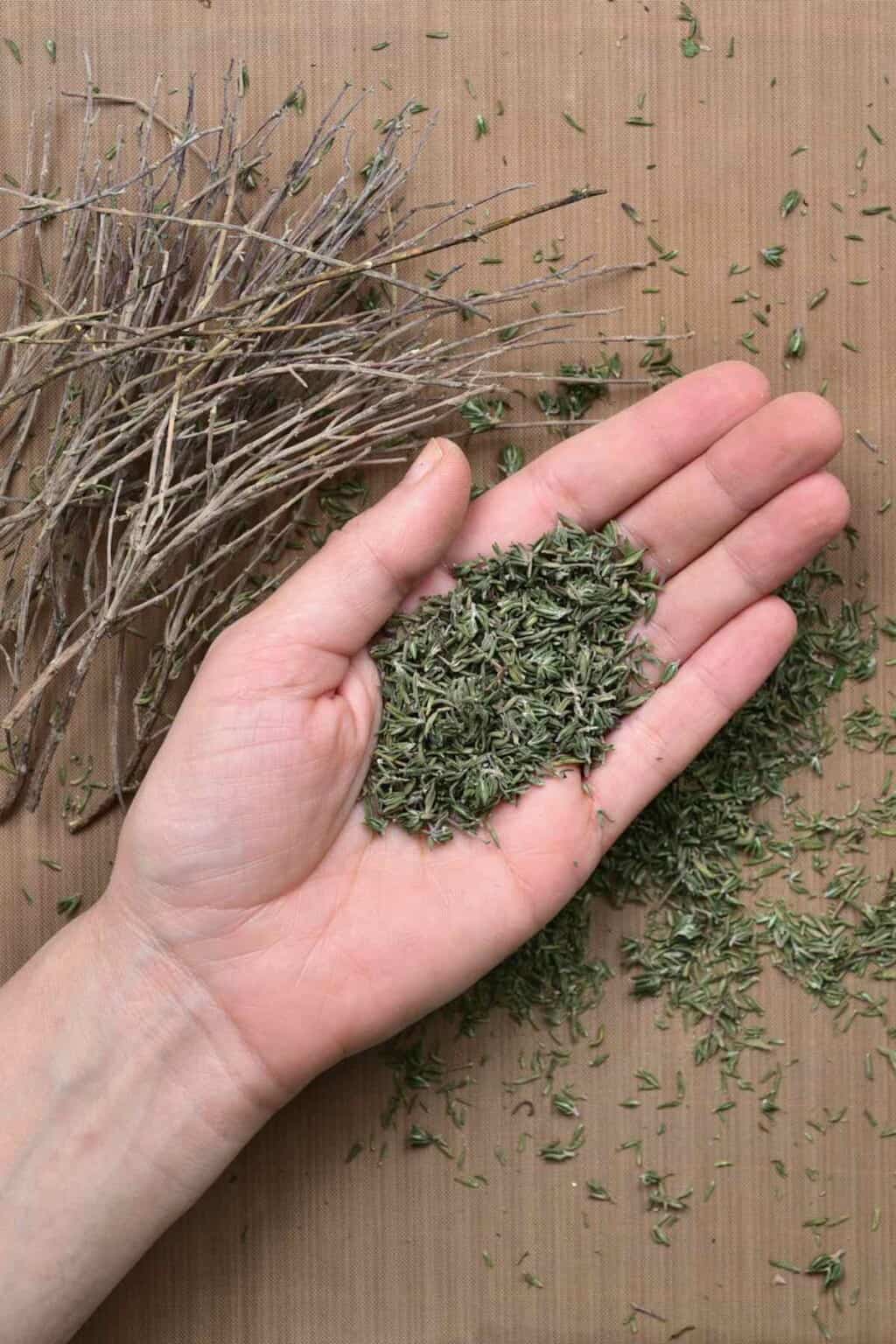How To Dry Thyme (3 Methods) Alphafoodie