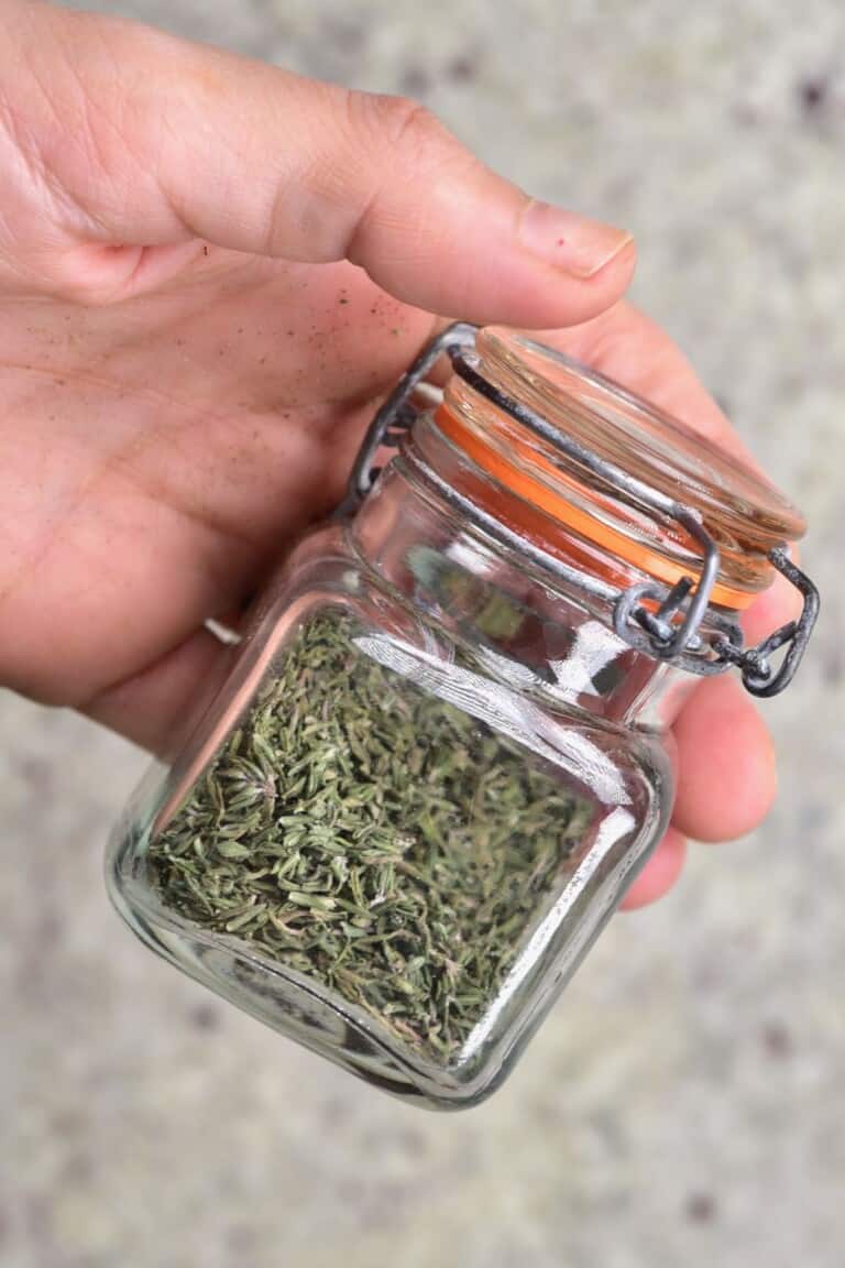 How To Dry Thyme (3 Methods) Alphafoodie