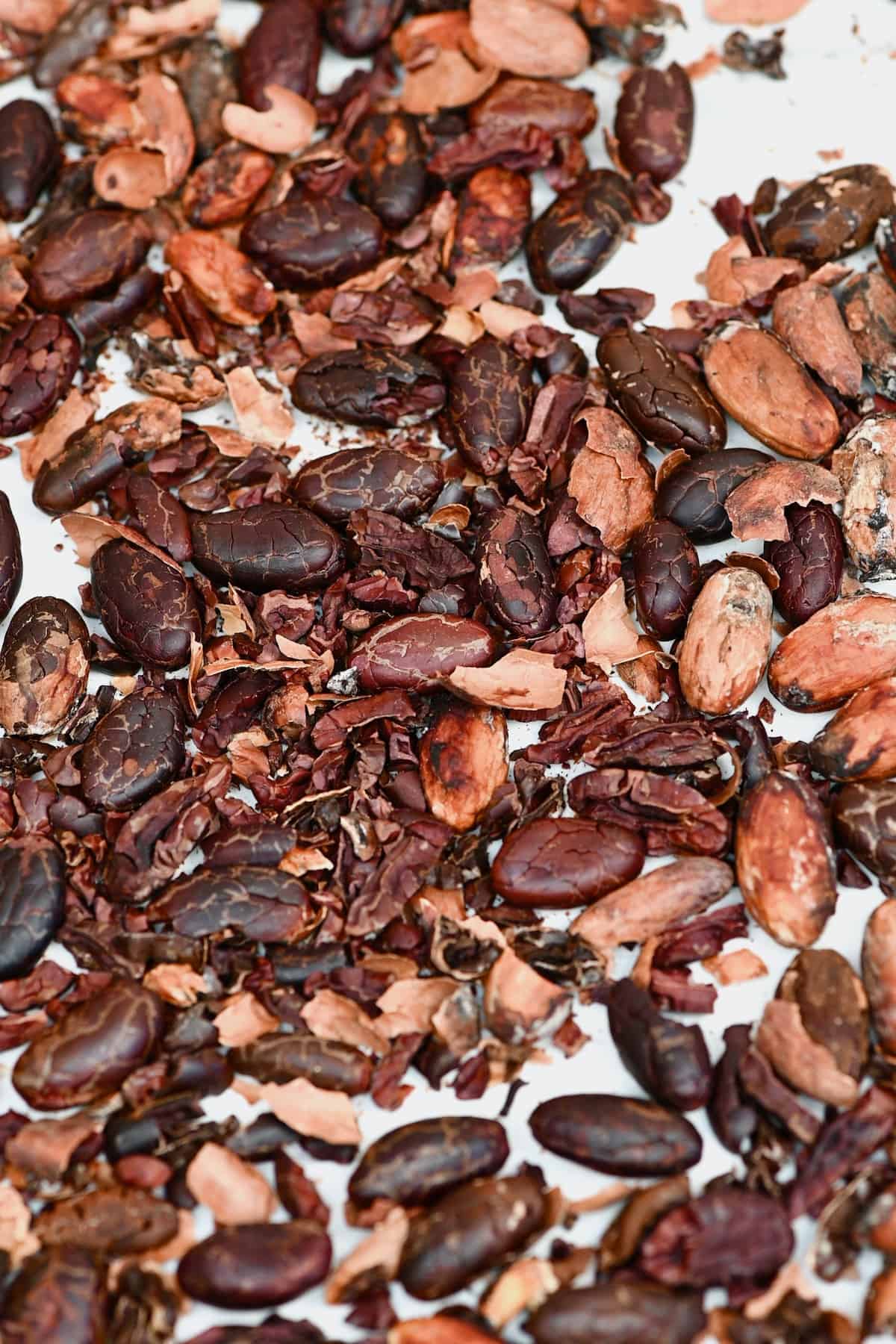 How To Make Chocolate From Cocoa Beans (Bean to Bar Chocolate)