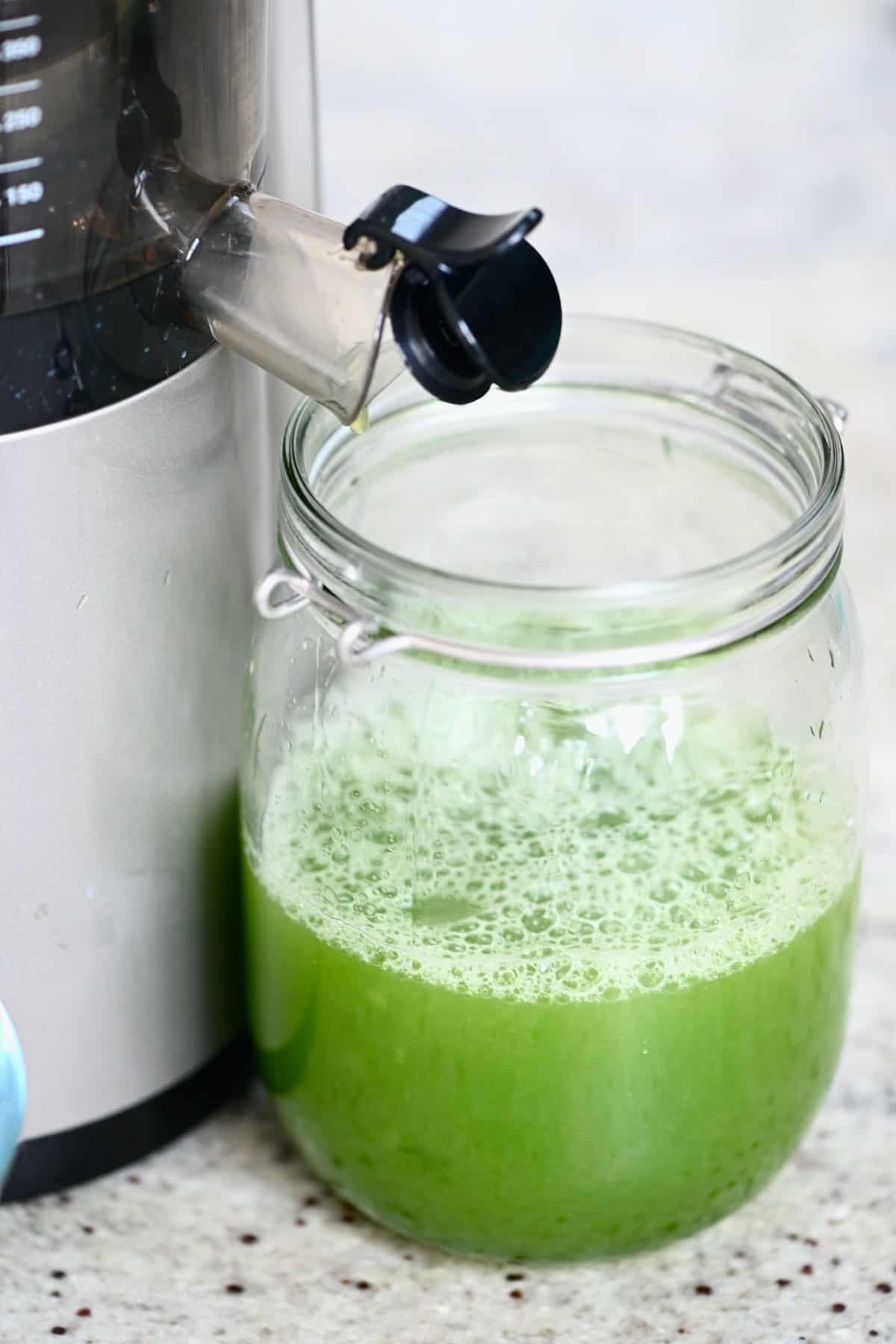 How to Make Cucumber Juice (3 Methods) Alphafoodie