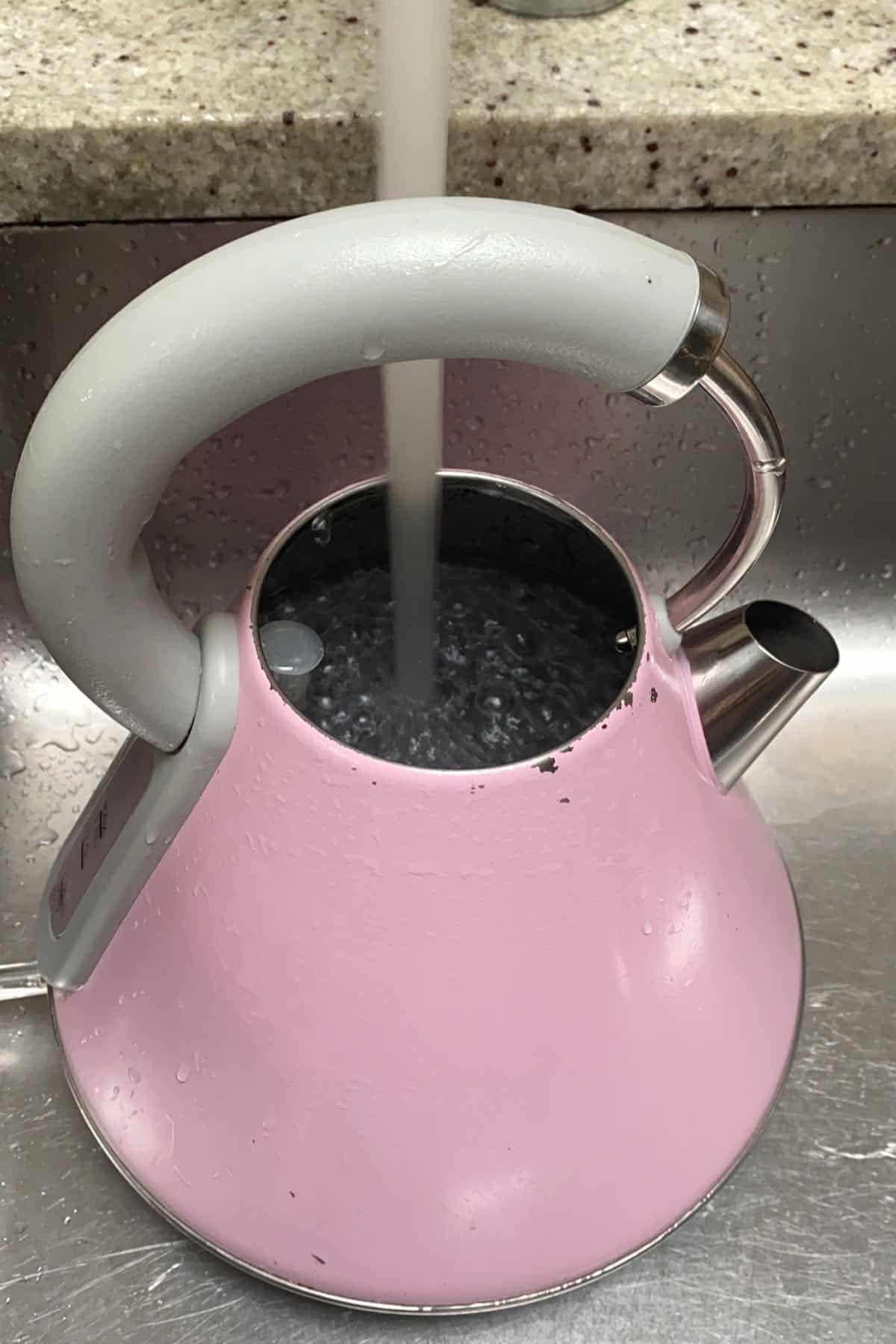 How to Clean An Electric Kettle Alphafoodie