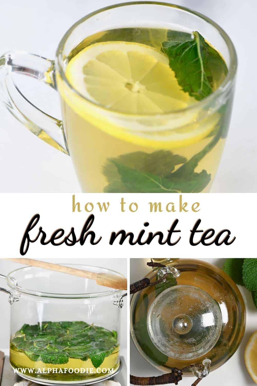 Fresh Mint Tea (Honey Citrus Mint Tea + Flavor Variations) Alphafoodie