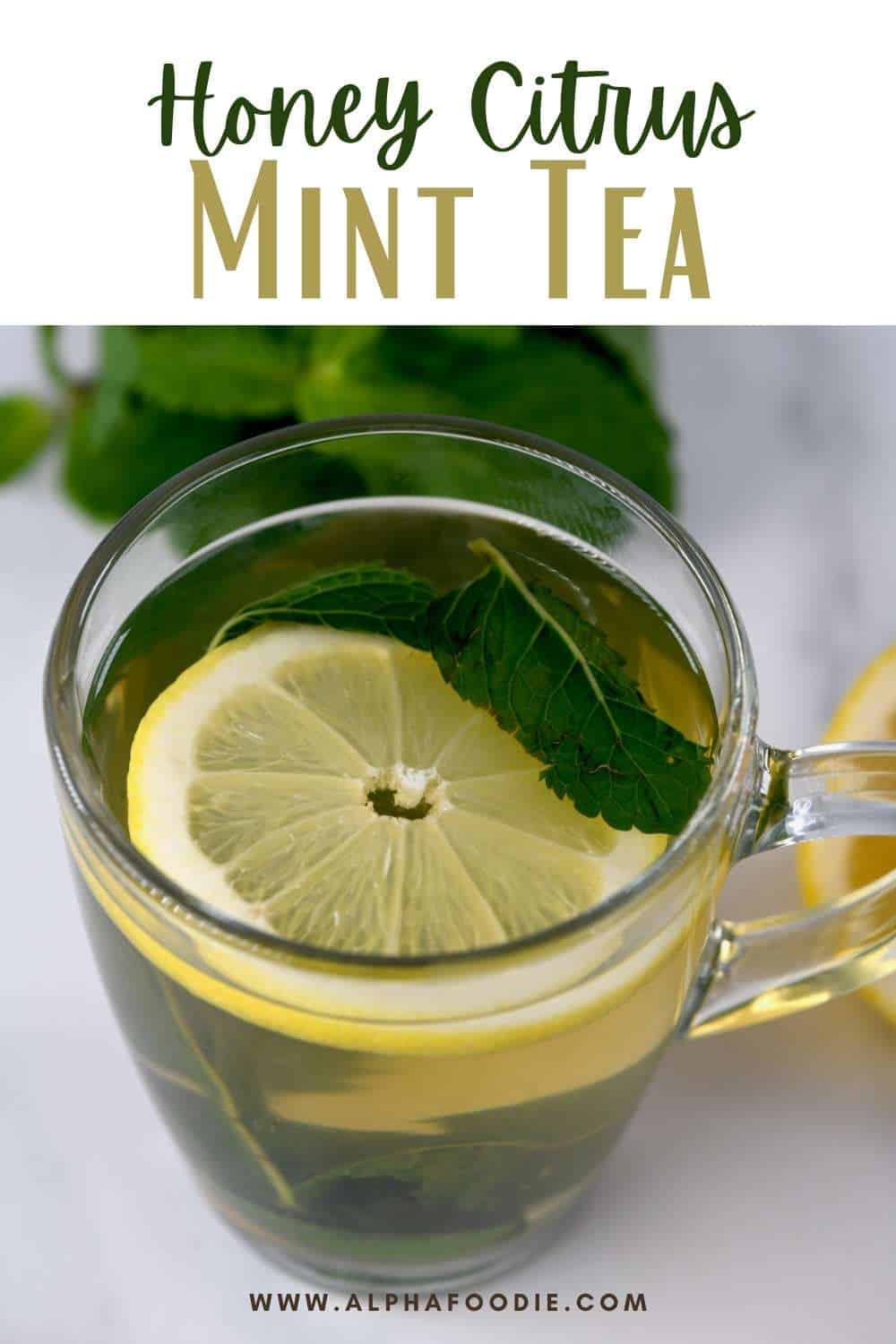 Fresh Mint Tea (Honey Citrus Mint Tea + Flavor Variations) Alphafoodie