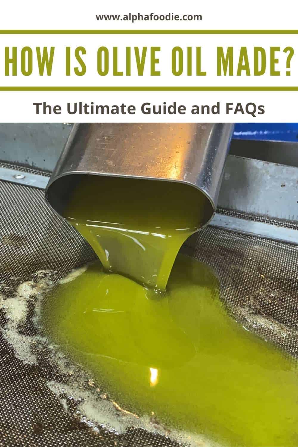 How is Olive Oil Made? (Extra Virgin Olive Oil Guide FAQs