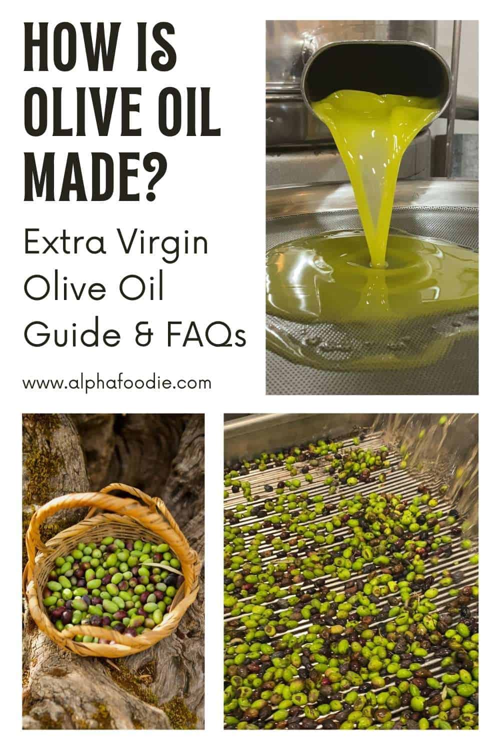 How is Olive Oil Made? (Extra Virgin Olive Oil Guide FAQs