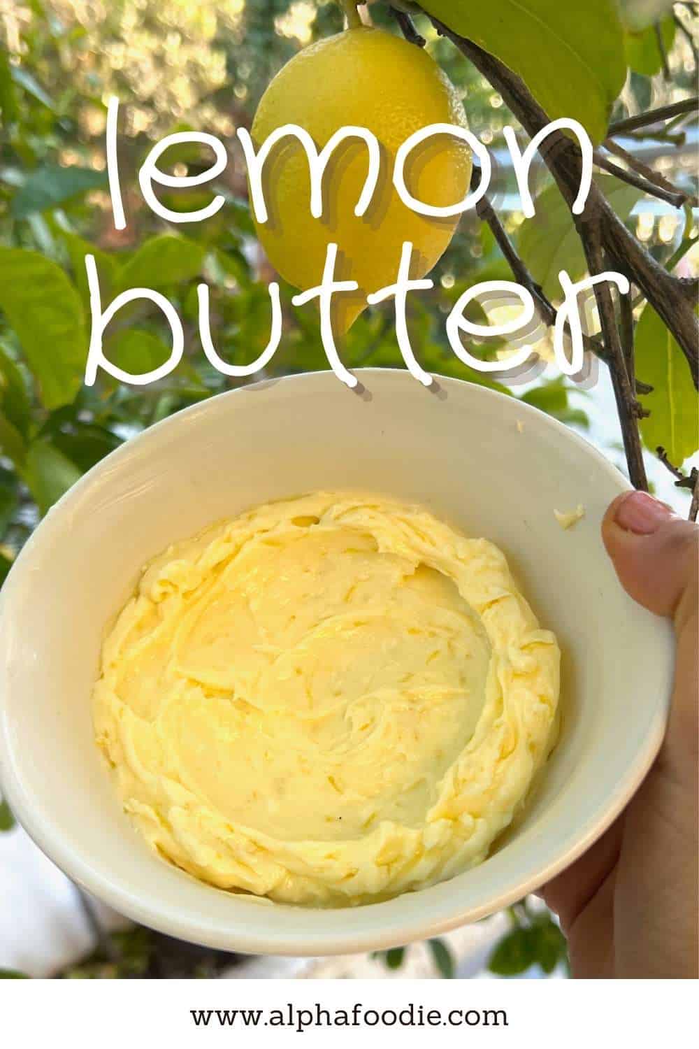 Easy Lemon Butter (+ Flavor Variations) Alphafoodie