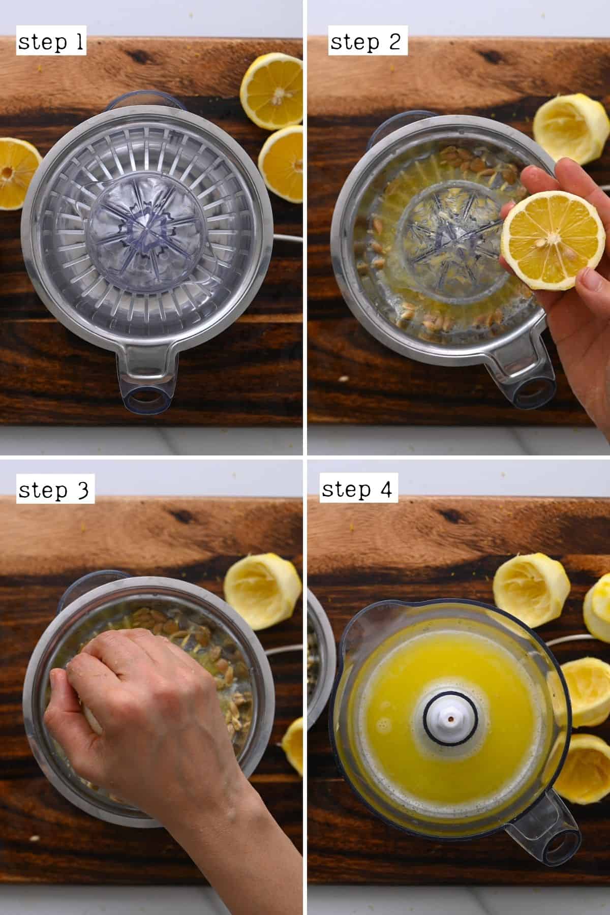 Lemon Juice Maker