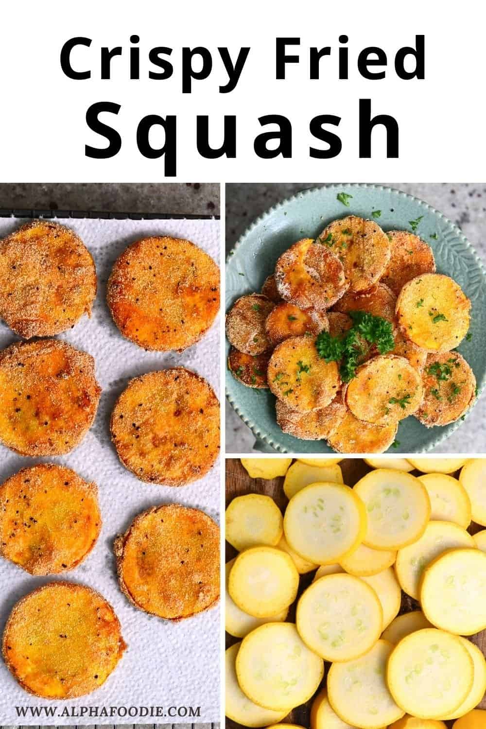 Crispy Fried Squash (or Zucchini) Alphafoodie