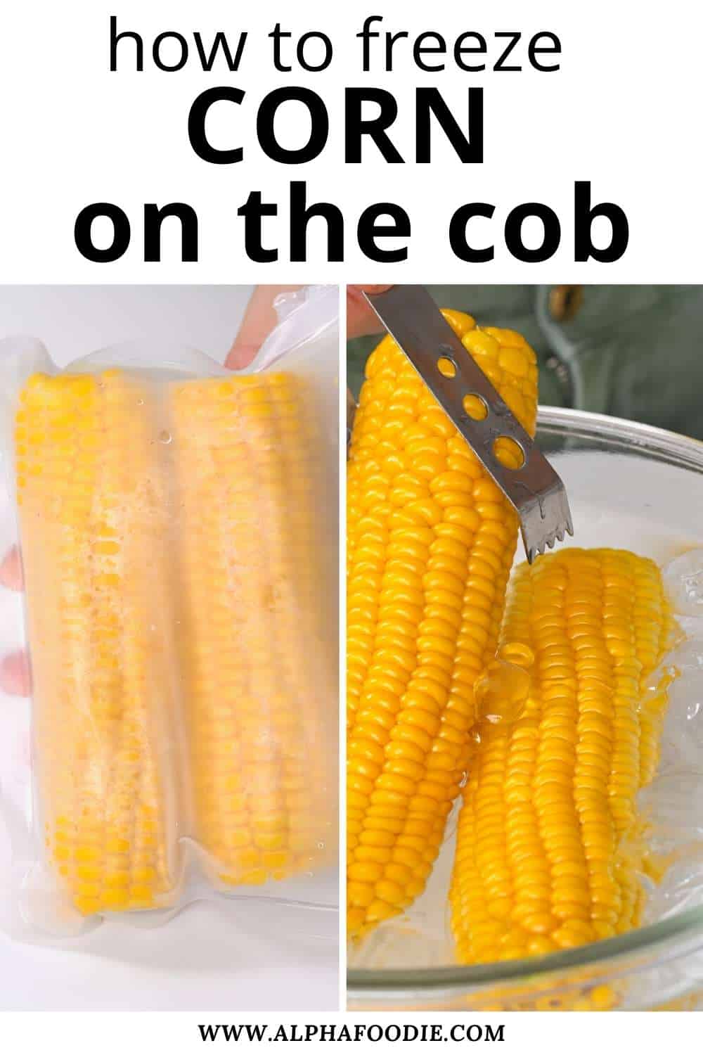 How to Freeze Corn (On or Off the Cob) Alphafoodie