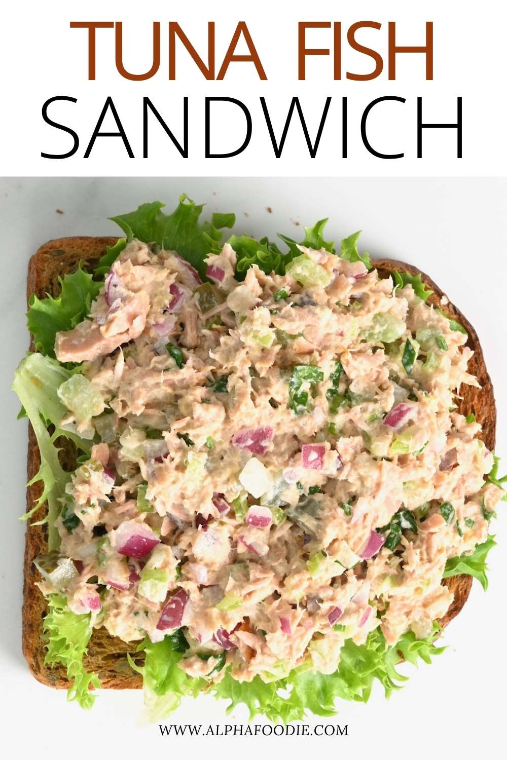 Easy Tuna Salad Recipe (With Video) Alphafoodie