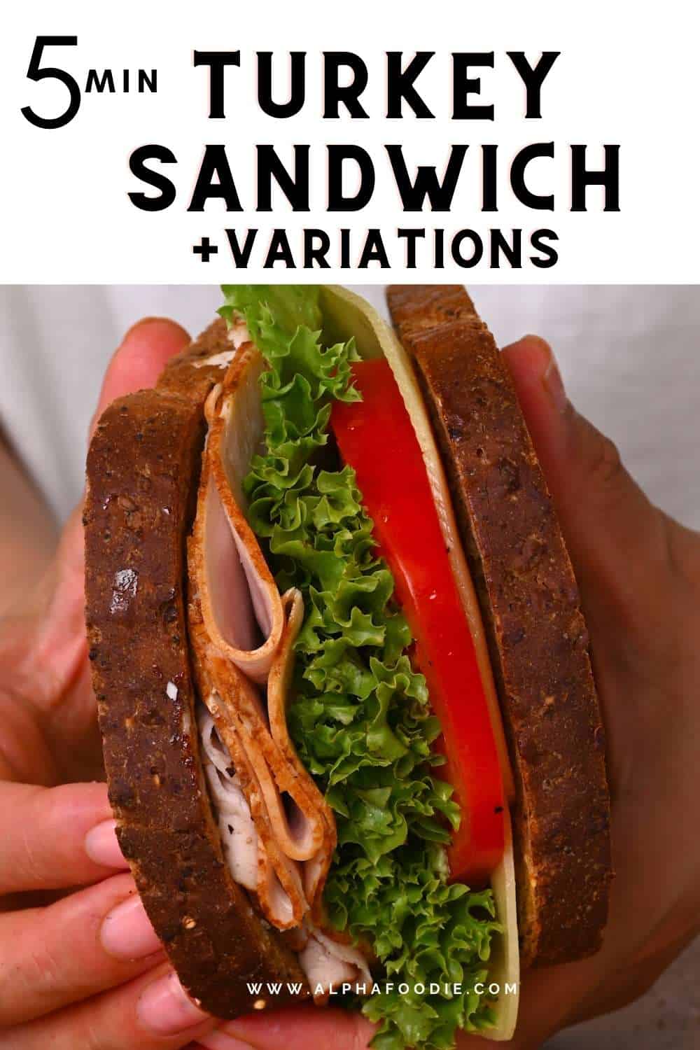 5Minute Turkey Sandwich (+ Variations) Alphafoodie