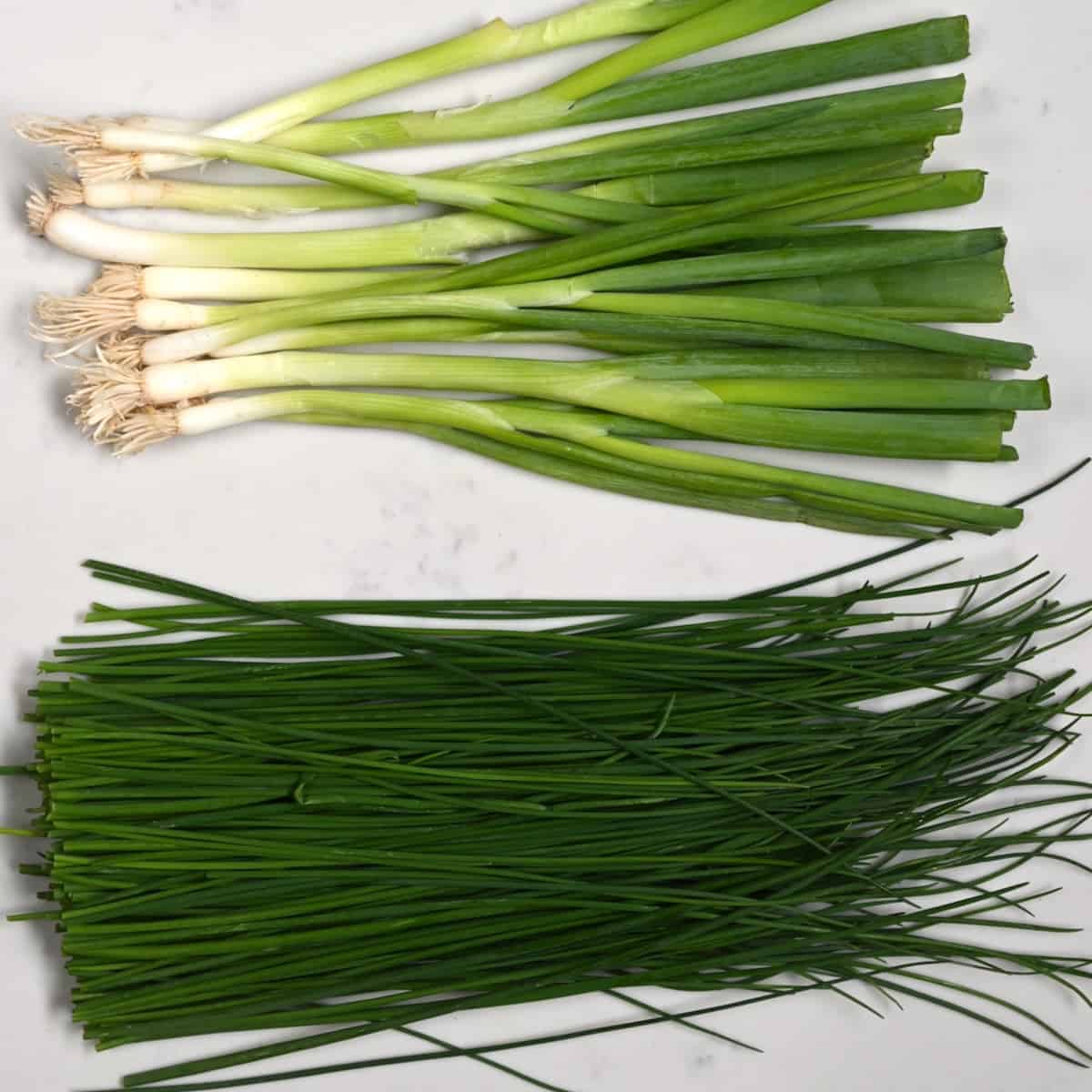Chives Vs Green Onions What's the Difference? Alphafoodie