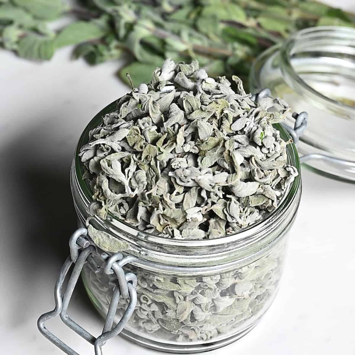 How to Dry Oregano (3 Methods) Recipe Cart