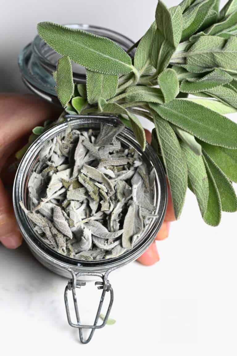 How to Dry Sage Leaves (4 Methods) Alphafoodie