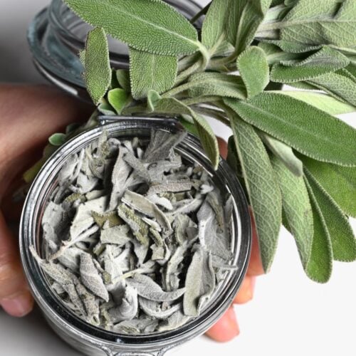How to Dry Sage Leaves (4 Methods) Alphafoodie