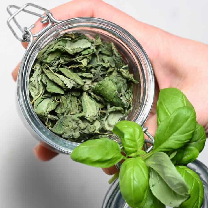 How to Dry Basil Leaves (3 Methods) Alphafoodie
