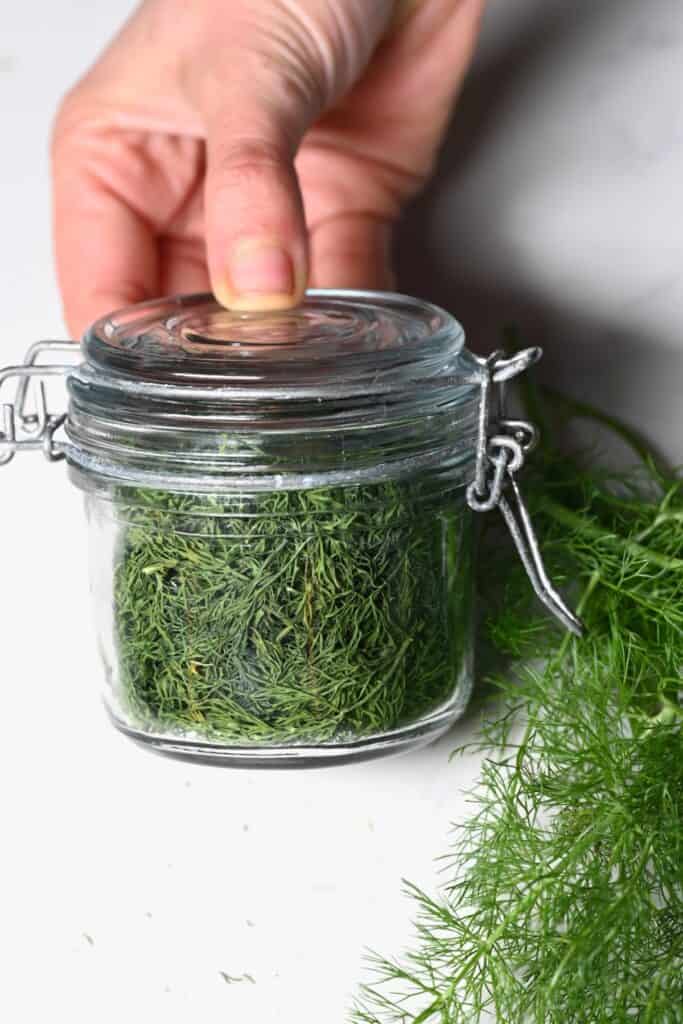 How to Dry Dill (3 Easy Ways) Alphafoodie