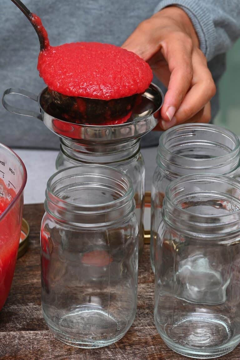 How to Make Tomato Puree Alphafoodie