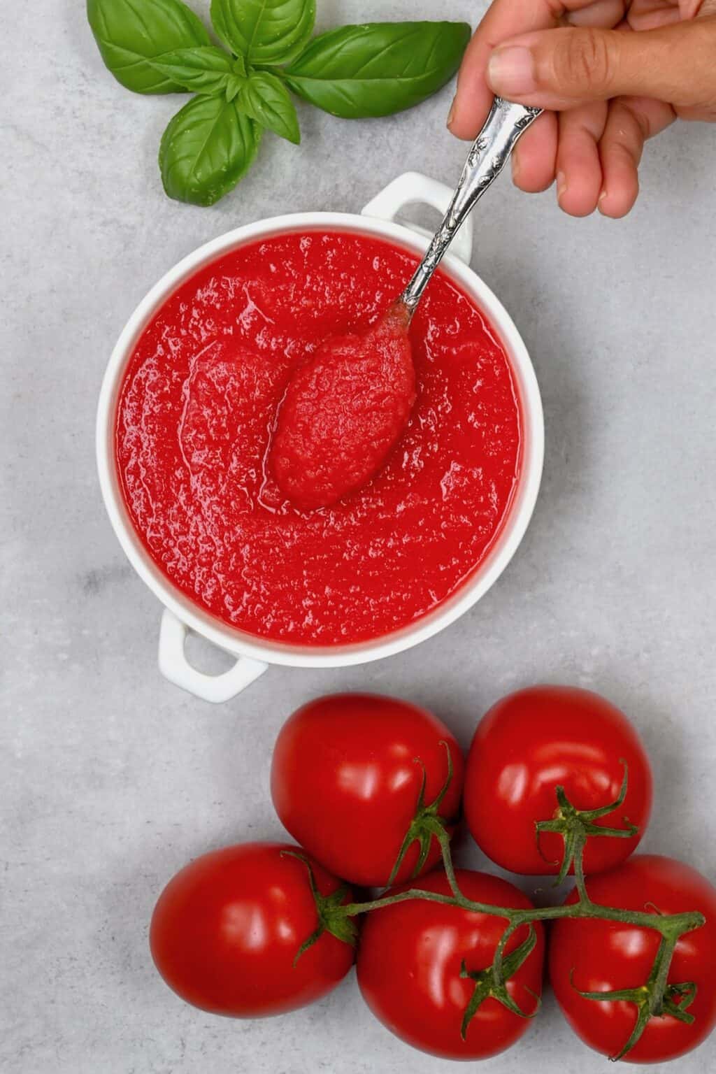 How to Make Tomato Puree Alphafoodie