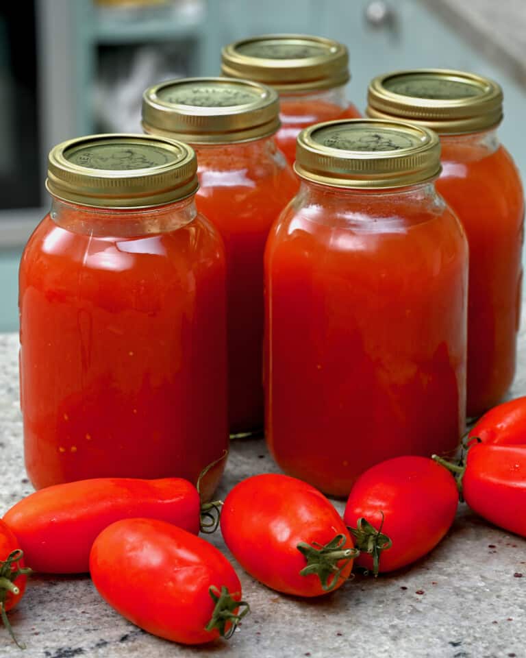 How to Can Tomato Juice Alphafoodie